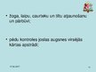 Prezentācija 'Robežas tiesiskais regulējums', 14.