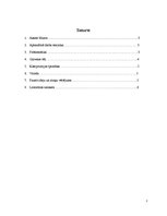 Referāts 'Aksels Munte "Stāsts par Sanmikelu"', 2.
