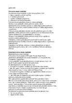 Konspekts 'Latvijas Republikas tiesībiestāžu sistēma', 66.