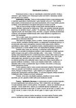 Eseja 'Babiloniešu kultūra', 1.