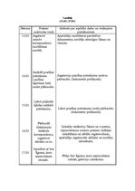 Prakses atskaite 'Tiesību zinātnes', 3.