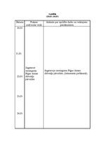 Prakses atskaite 'Tiesību zinātnes', 4.