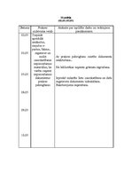 Prakses atskaite 'Tiesību zinātnes', 10.