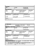 Prakses atskaite 'Tiesību zinātnes', 17.