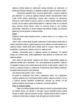 Diplomdarbs 'SIA "Ostas termināls" darbība un vieta tirgū', 11.