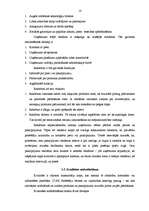 Diplomdarbs 'SIA "Ostas termināls" darbība un vieta tirgū', 14.