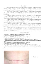 Referāts 'Rētas', 6.