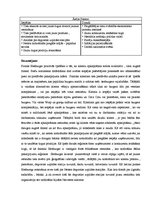 Referāts 'Imidža projektēšana un sabiedrisko attiecību plānošana', 10.