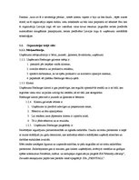 Referāts 'Imidža projektēšana un sabiedrisko attiecību plānošana', 11.