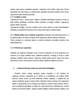 Referāts 'Imidža projektēšana un sabiedrisko attiecību plānošana', 24.