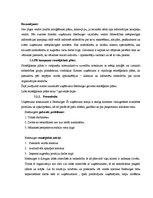 Referāts 'Imidža projektēšana un sabiedrisko attiecību plānošana', 32.