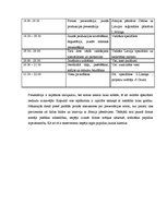 Referāts 'Imidža projektēšana un sabiedrisko attiecību plānošana', 41.