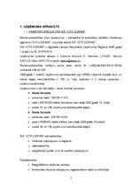 Biznesa plāns 'SIA ''Cits Dizains''', 2.