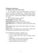 Biznesa plāns 'SIA ''Cits Dizains''', 4.