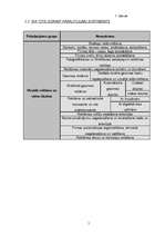 Biznesa plāns 'SIA ''Cits Dizains''', 5.