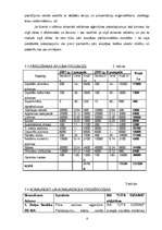 Biznesa plāns 'SIA ''Cits Dizains''', 8.