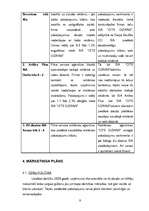 Biznesa plāns 'SIA ''Cits Dizains''', 9.