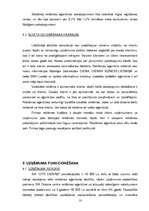 Biznesa plāns 'SIA ''Cits Dizains''', 10.