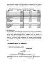 Biznesa plāns 'SIA ''Cits Dizains''', 11.