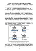 Referāts 'Transports Baltijas jūrā', 12.