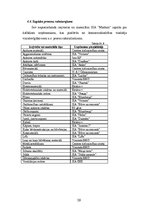 Biznesa plāns 'SIA "Markats" biznesa plāns', 29.