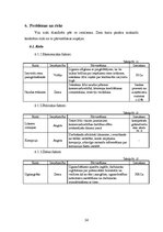 Biznesa plāns 'SIA "Markats" biznesa plāns', 34.