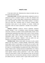 Referāts 'Kredīti', 8.