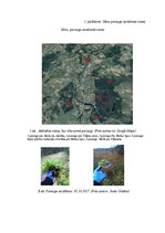 Referāts 'Cd2+, Cu2+, Fe2+, Fe3+ adsorbēšana, izmantojot sfagnu sūnas', 20.