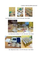 Referāts 'Cd2+, Cu2+, Fe2+, Fe3+ adsorbēšana, izmantojot sfagnu sūnas', 21.