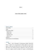 Referāts 'Garšas kaislības dažādās kultūrās', 1.