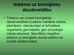 Prezentācija 'Tūrisma ietekme uz vidi Latvijā', 4.
