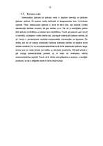 Referāts 'Intelektuālais īpašums un tā vērtība komercsabiedrībās', 10.