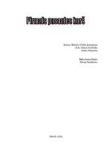 Referāts 'Pirmais pasaules karš', 1.