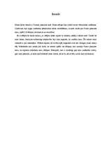 Referāts 'Pirmais pasaules karš', 3.