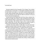 Referāts 'Pirmais pasaules karš', 4.