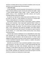 Referāts 'Pirmais pasaules karš', 16.