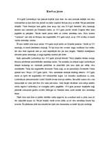 Referāts 'Pirmais pasaules karš', 17.