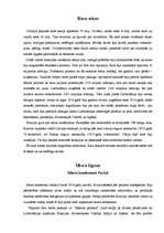 Referāts 'Pirmais pasaules karš', 25.