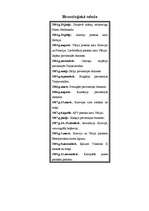 Referāts 'Pirmais pasaules karš', 29.