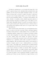 Eseja 'Sociālo mediju viltus profili', 1.