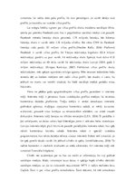 Eseja 'Sociālo mediju viltus profili', 2.