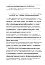 Referāts 'Uzņēmuma saimnieciskā darbība', 3.