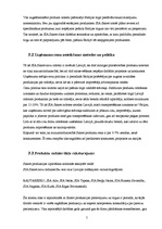 Referāts 'Uzņēmuma saimnieciskā darbība', 5.