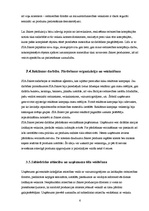 Referāts 'Uzņēmuma saimnieciskā darbība', 6.