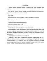 Referāts 'Sadzīves atkritumu problēmas risinājumi Ozolnieku novadā', 2.