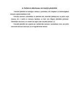 Referāts 'Sadzīves atkritumu problēmas risinājumi Ozolnieku novadā', 9.