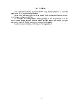 Eseja 'Manas bērnības rotaļas', 7.