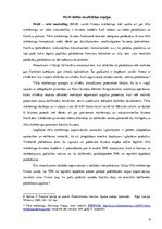 Konspekts 'Modernās biznesa organizācijas formas', 6.