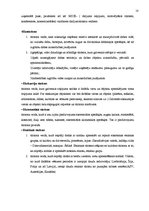 Referāts 'Tūrisma veidi', 18.