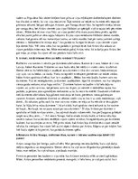 Konspekts 'Aleksandrs Grīns "Dvēseļu putenis"', 3.